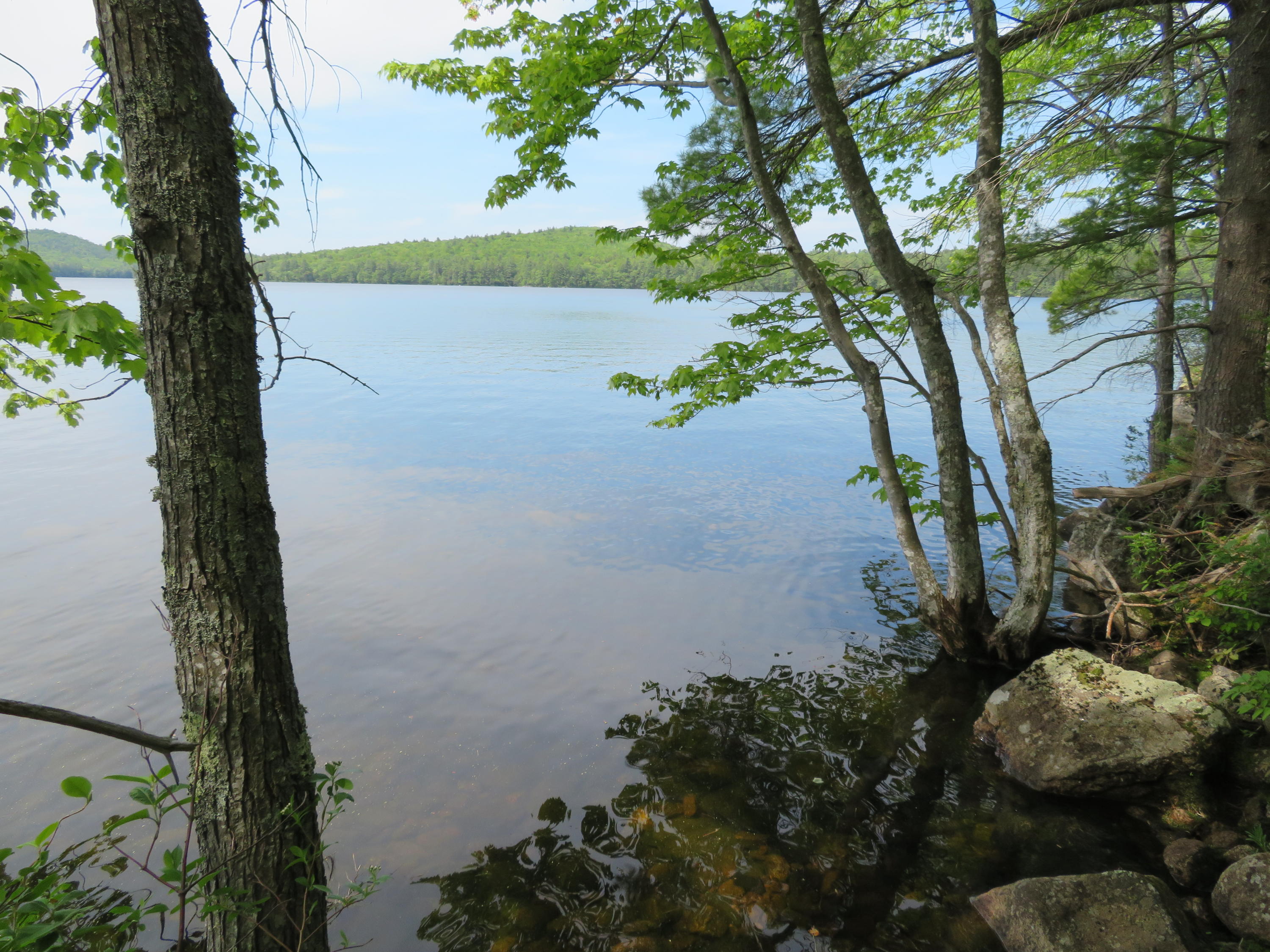 Lot 7-4 White Road Sebago, ME 04029 - Photo 4 of 9 WhitePeabodyPond 004
