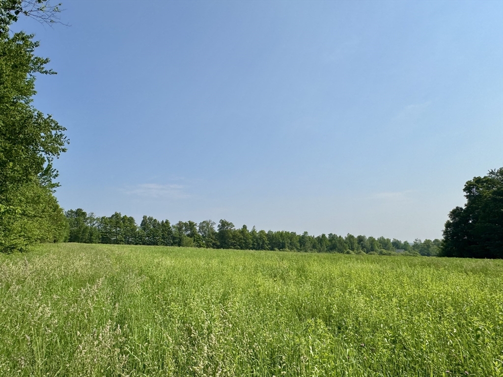 0 Hunt Road Hawley, MA 01339 - Photo 2 of 5 a view of a field with grass and trees