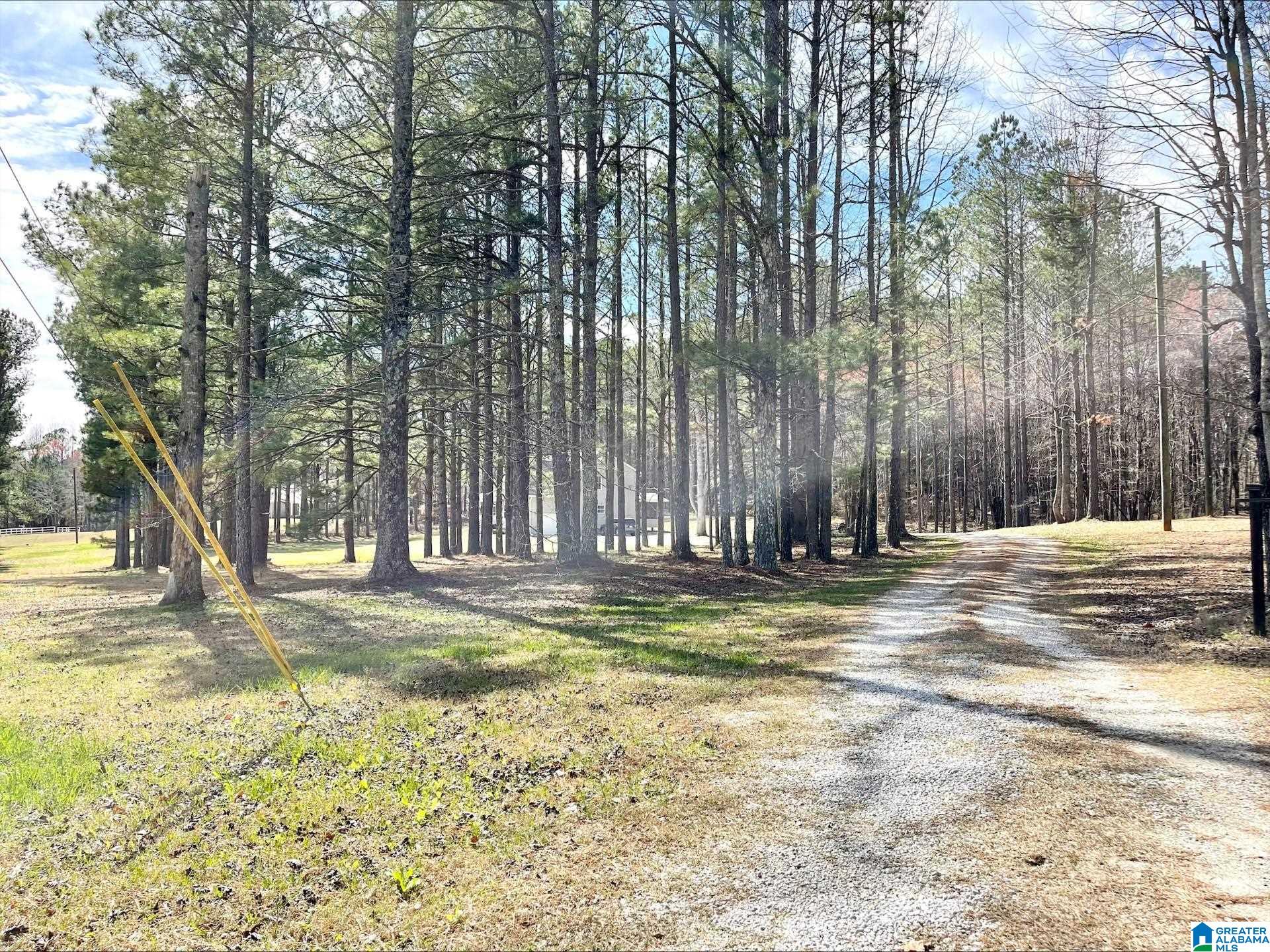 55 County Road 928 Delta, AL 36258 - Photo 24 of 28