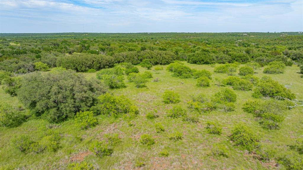 136 Moose Trail Ranger, TX 76470 - Photo 23 of 40 a view of a field with plants and trees