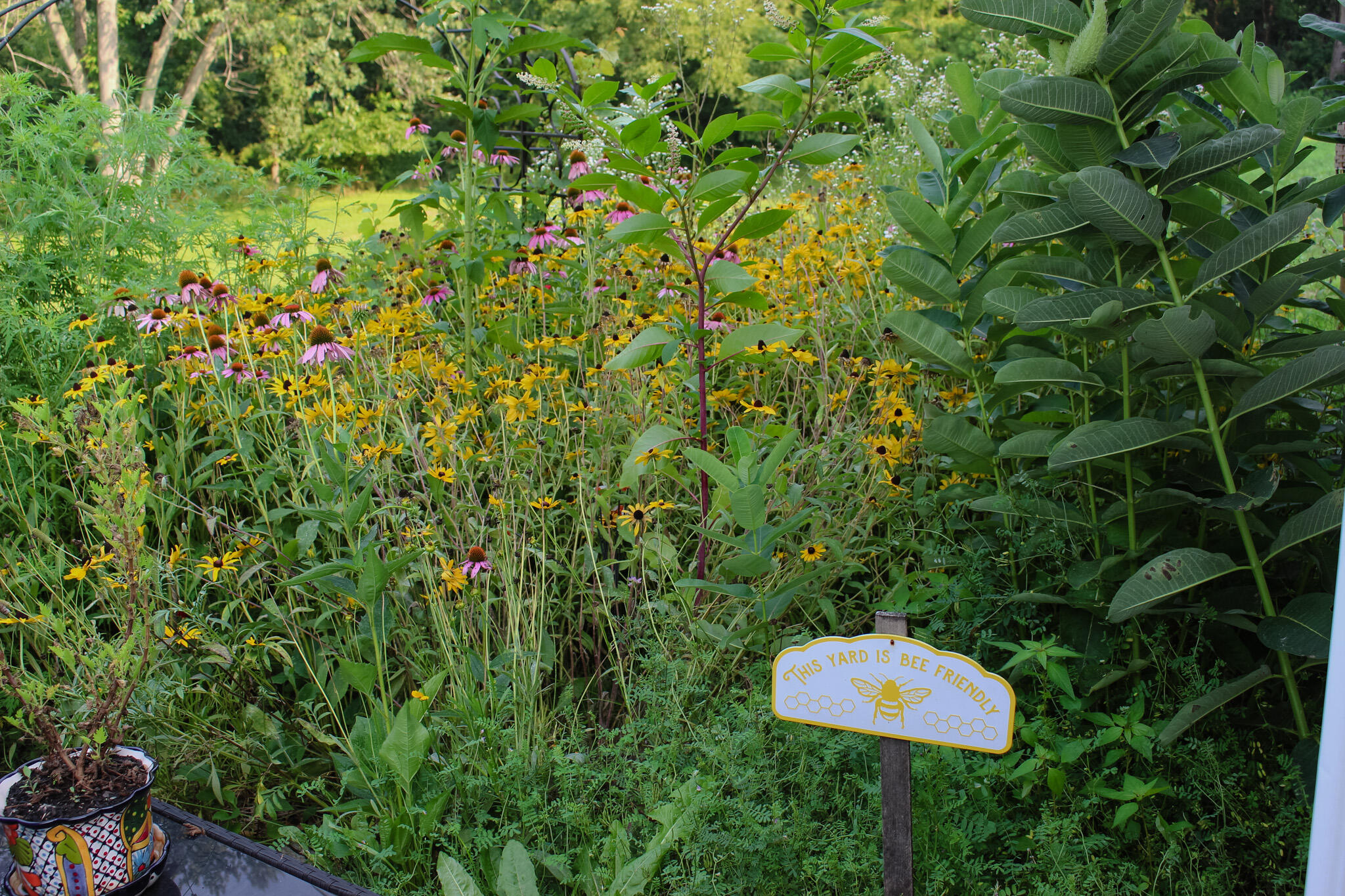2819 Bryant Street Portage, IN 46368 - Photo 18 of 24 a close up of a plant in a garden