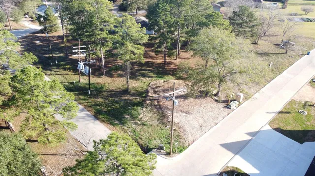 a view of a yard with plants