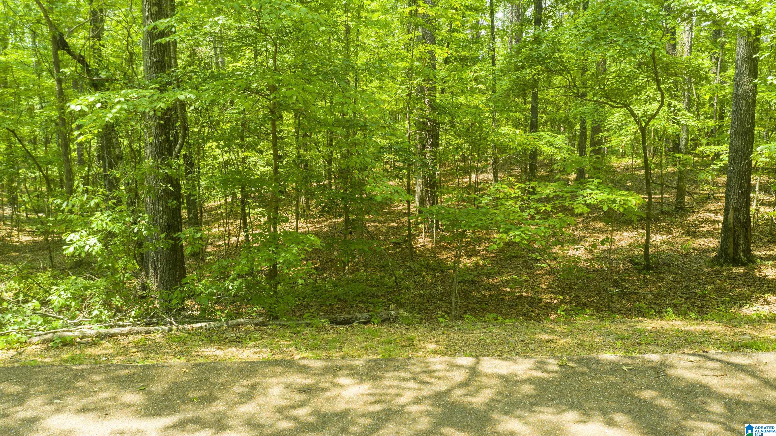 4 Augusta Way, Unit 148 Birmingham, AL 35242 - Photo 1 of 1