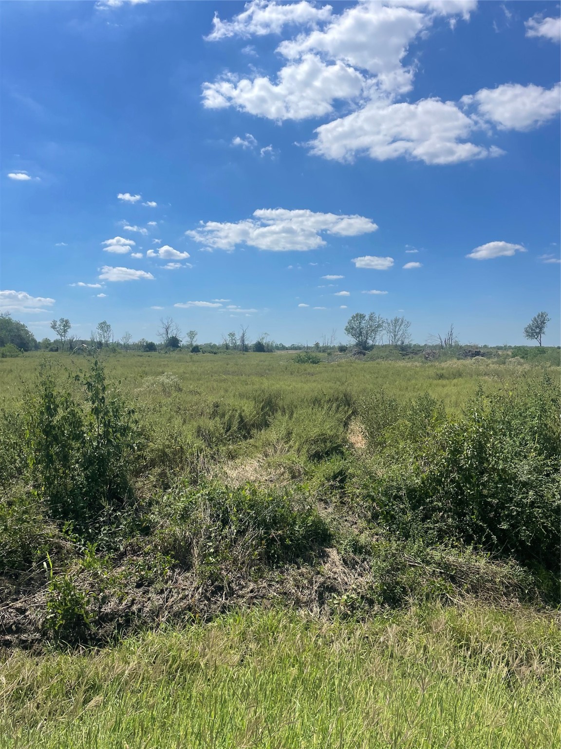 7602 FM 360 Road Needville, TX 77461 - Photo 2 of 5