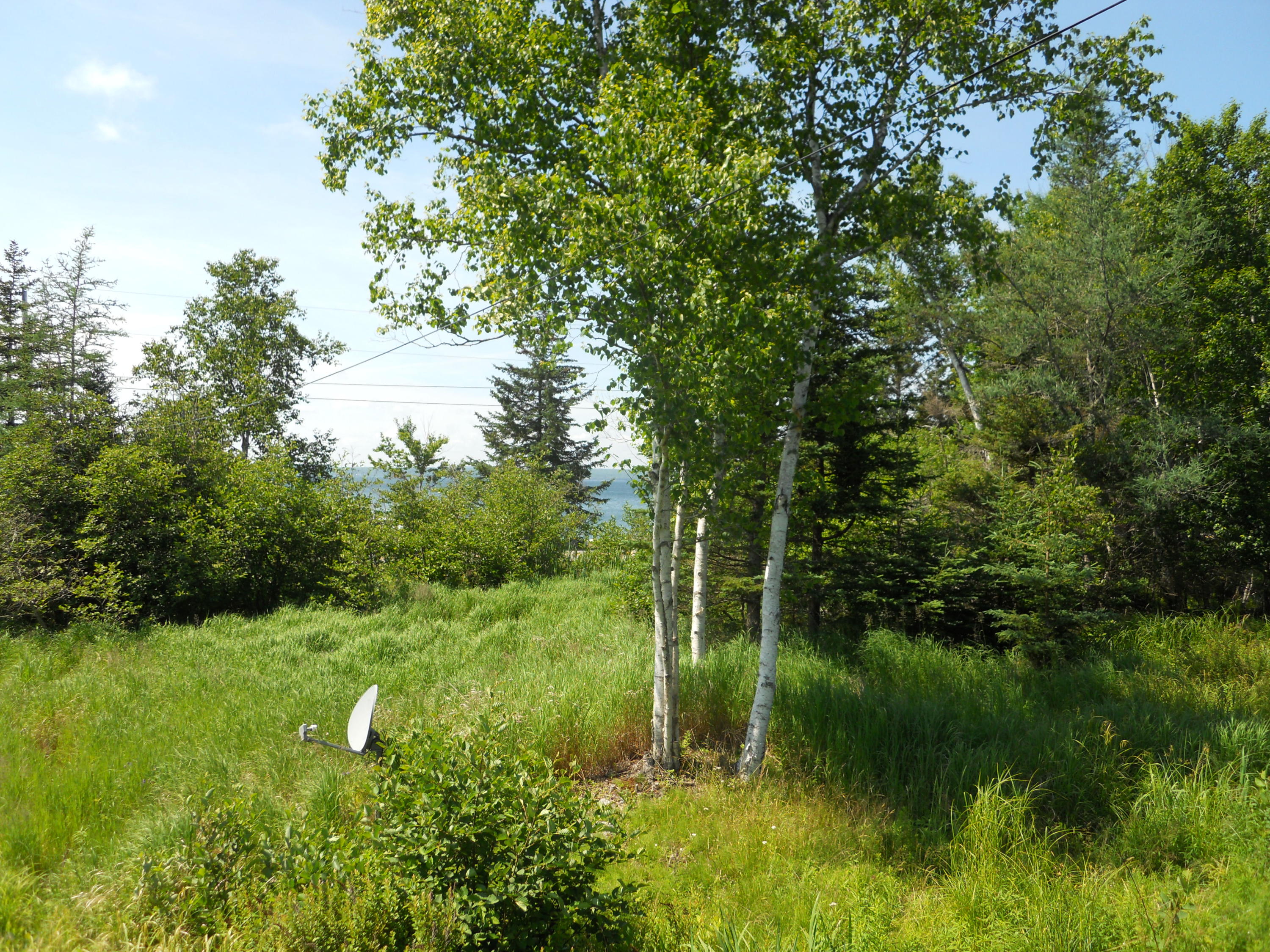 1537 Meadow Pond Road Islesboro, ME 04848 - Photo 15 of 38 FieldWoodsDSCN0443