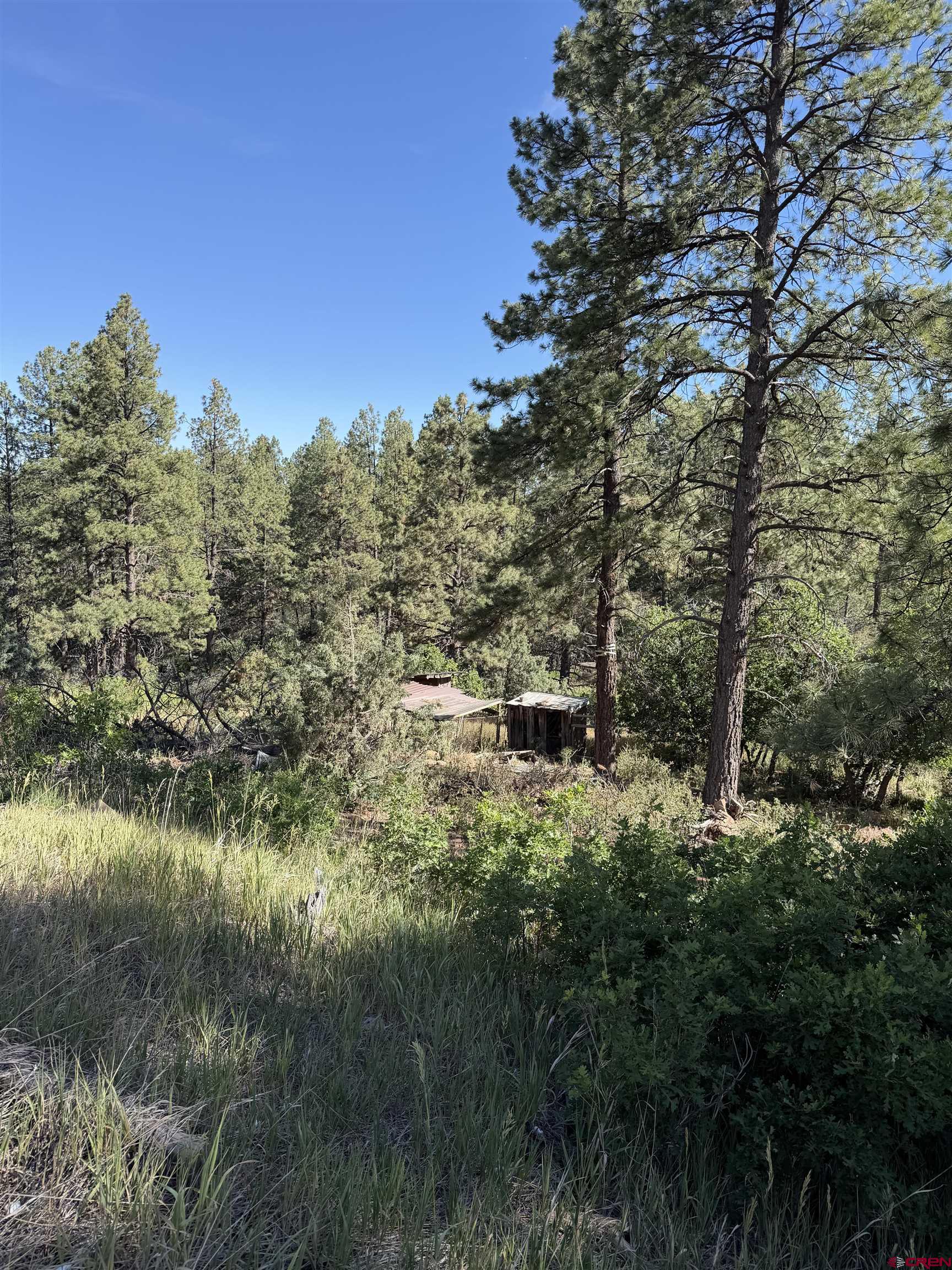 950 Deer Trail Road Durango, CO 81303 - Photo 12 of 13 a backyard of a house with lots of green space