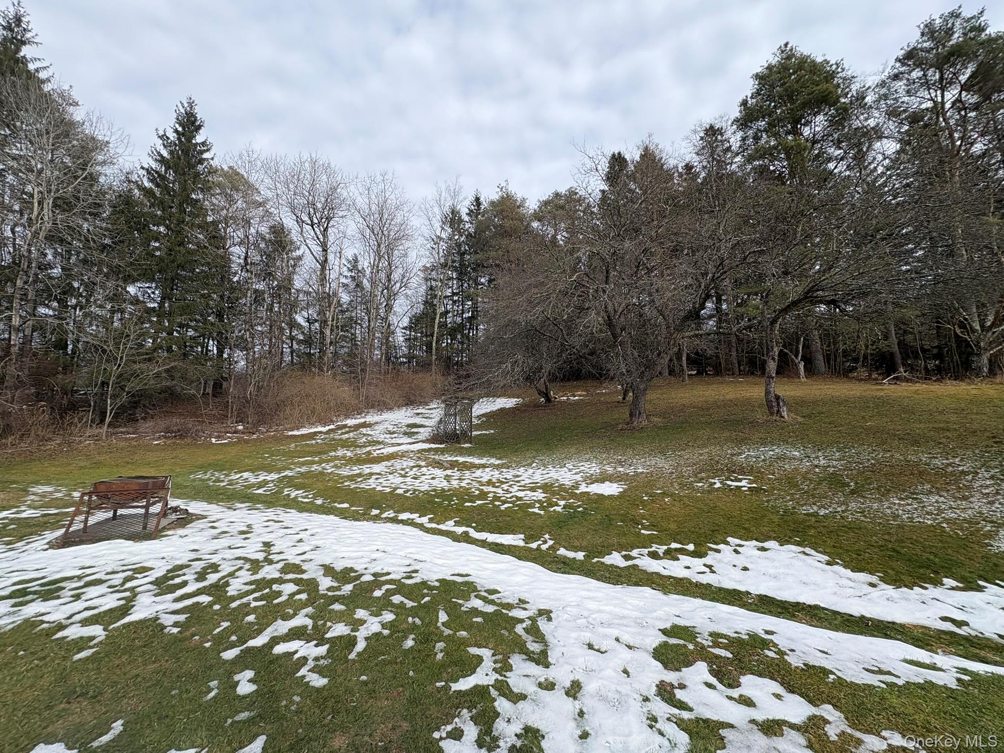 5852 State Rte 55 Liberty, NY 12754 - Photo 37 of 44 a view of a yard with large trees