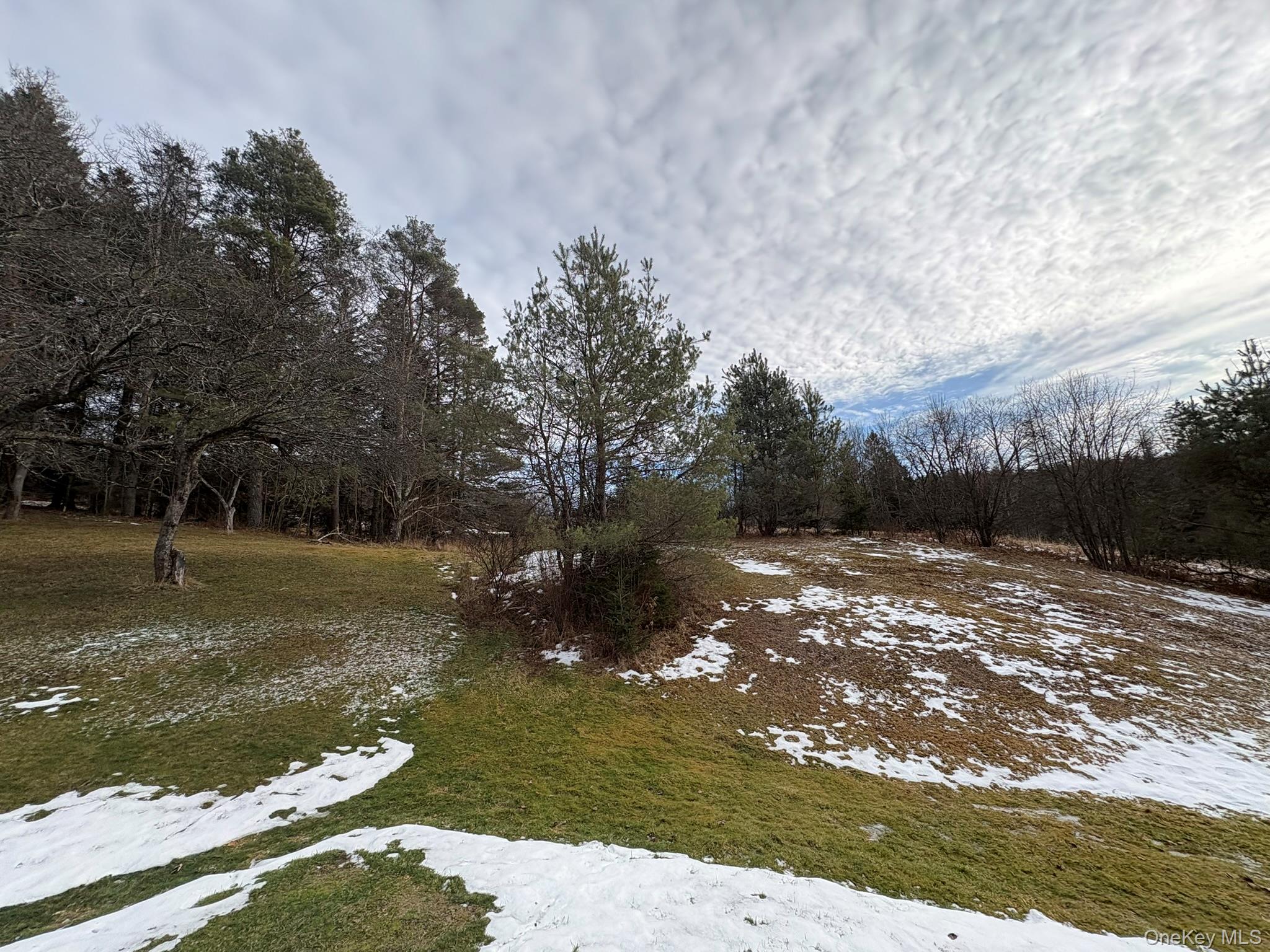 5852 State Rte 55 Liberty, NY 12754 - Photo 38 of 44 a view of a yard with plants and trees