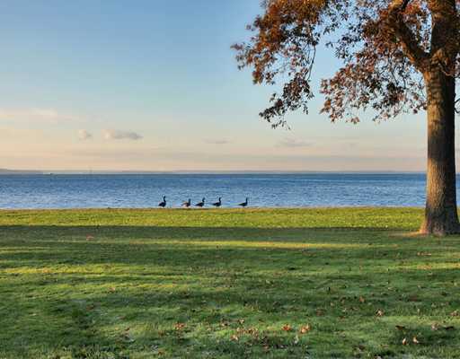253 Long Neck Point Road Darien, CT 06820 - Photo 3 of 15 a view of an ocean from a yard