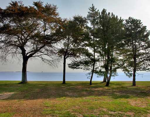253 Long Neck Point Road Darien, CT 06820 - Photo 5 of 15 a view of an ocean with trees
