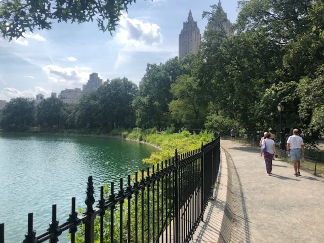 a view of swimming pool from a balcony