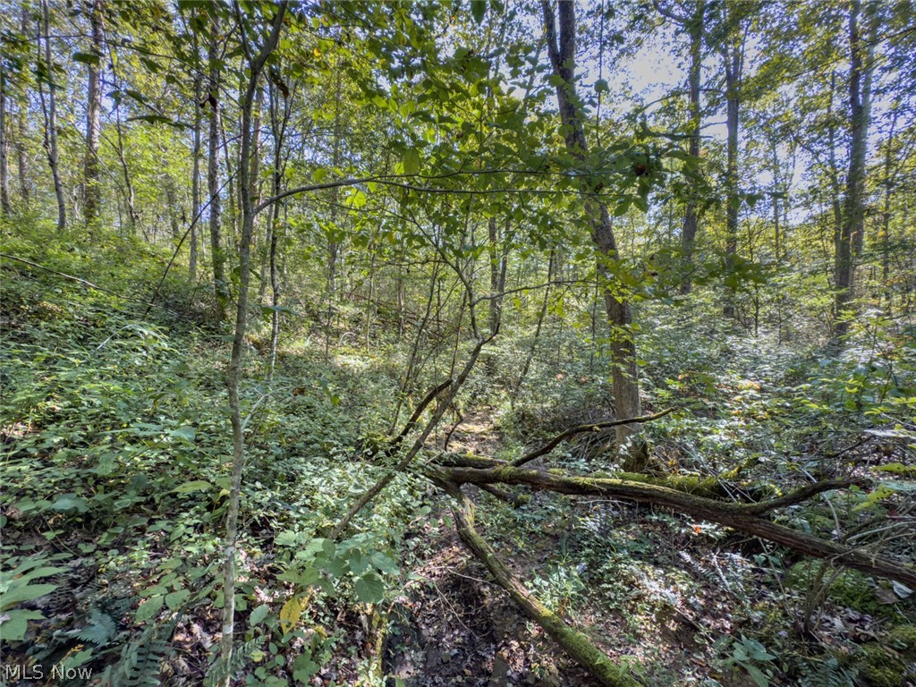 1 Shinn Road Stockport, OH 43787 - Photo 13 of 15 Gallery Image 13