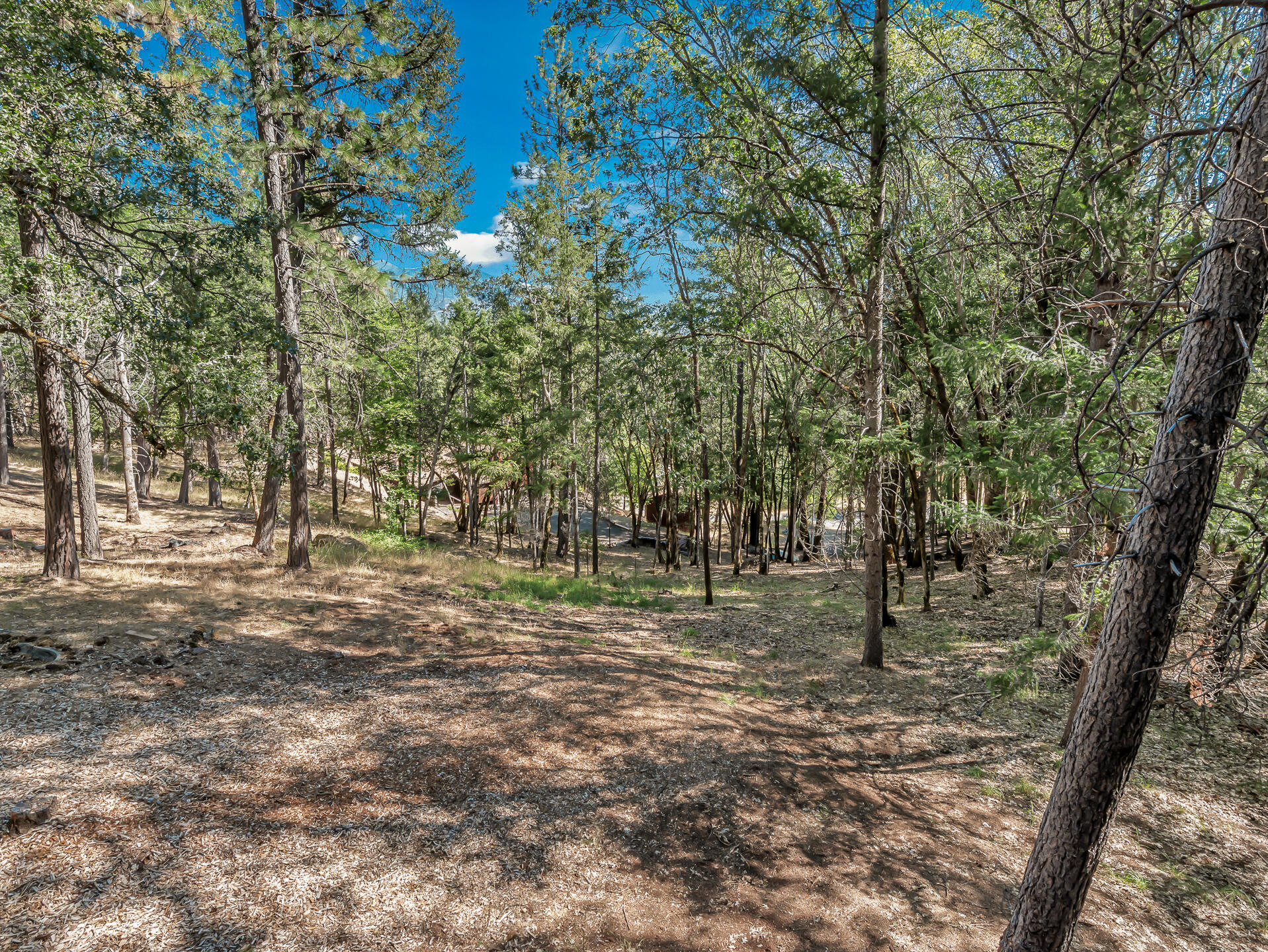500 Timber Ridge Road Weaverville, CA 96093 - Photo 29 of 48 500TimberRidge-4