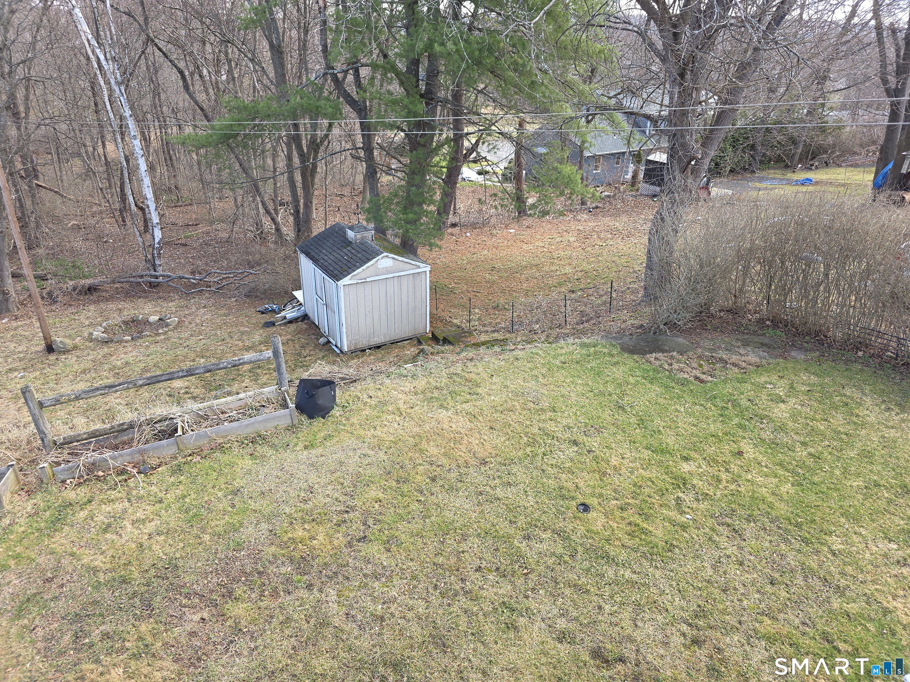 29 Esther Avenue Waterbury, CT 06708 - Photo 23 of 25 a view of backyard with tree