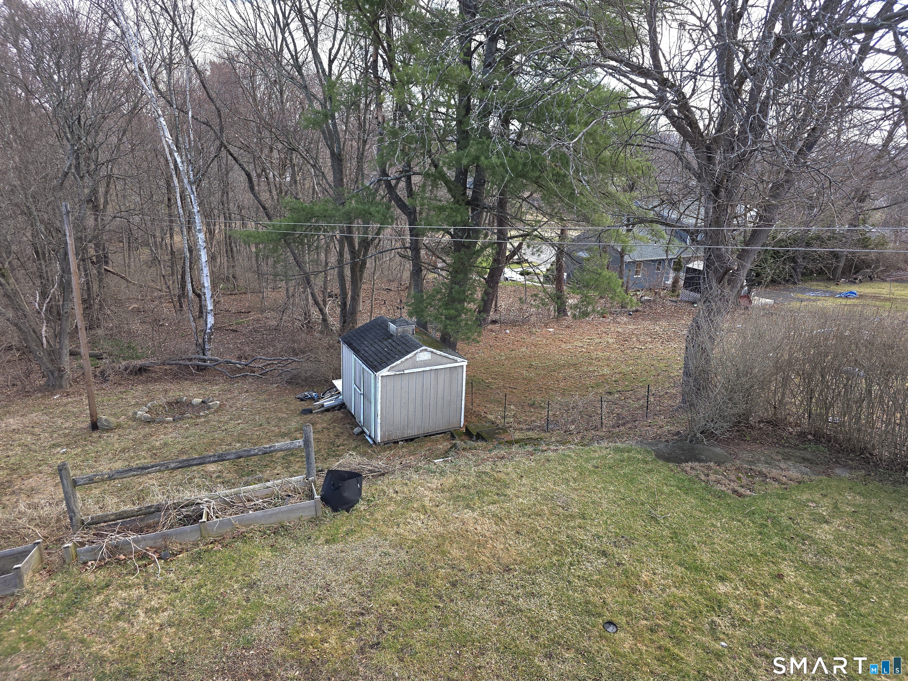 29 Esther Avenue Waterbury, CT 06708 - Photo 25 of 25 a view of a backyard with large tree