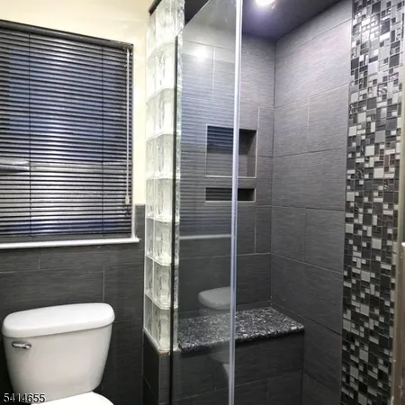 a bathroom with a shower and a toilet