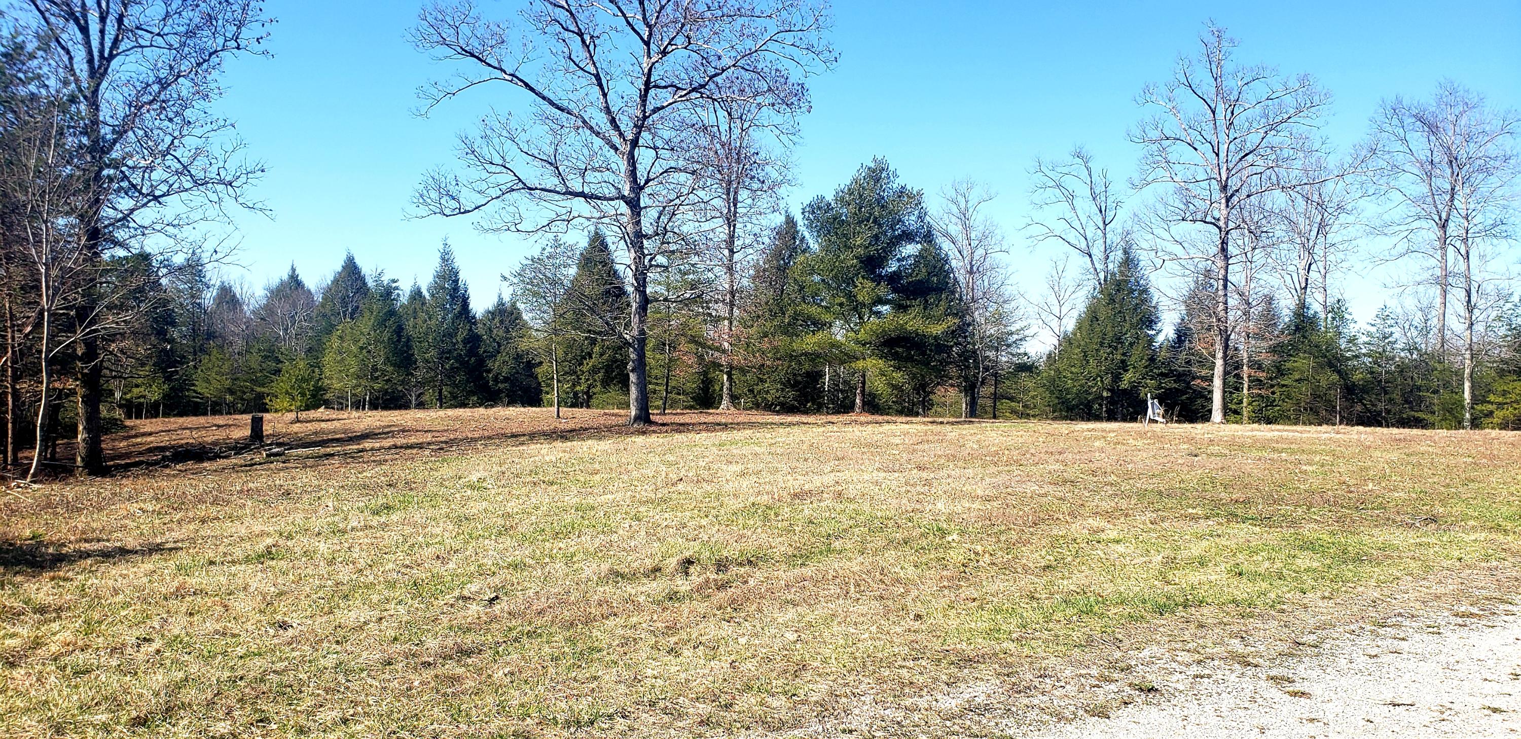160 Falling Leaf Road Jamestown, TN 38556 - Photo 6 of 11 20200214_174351