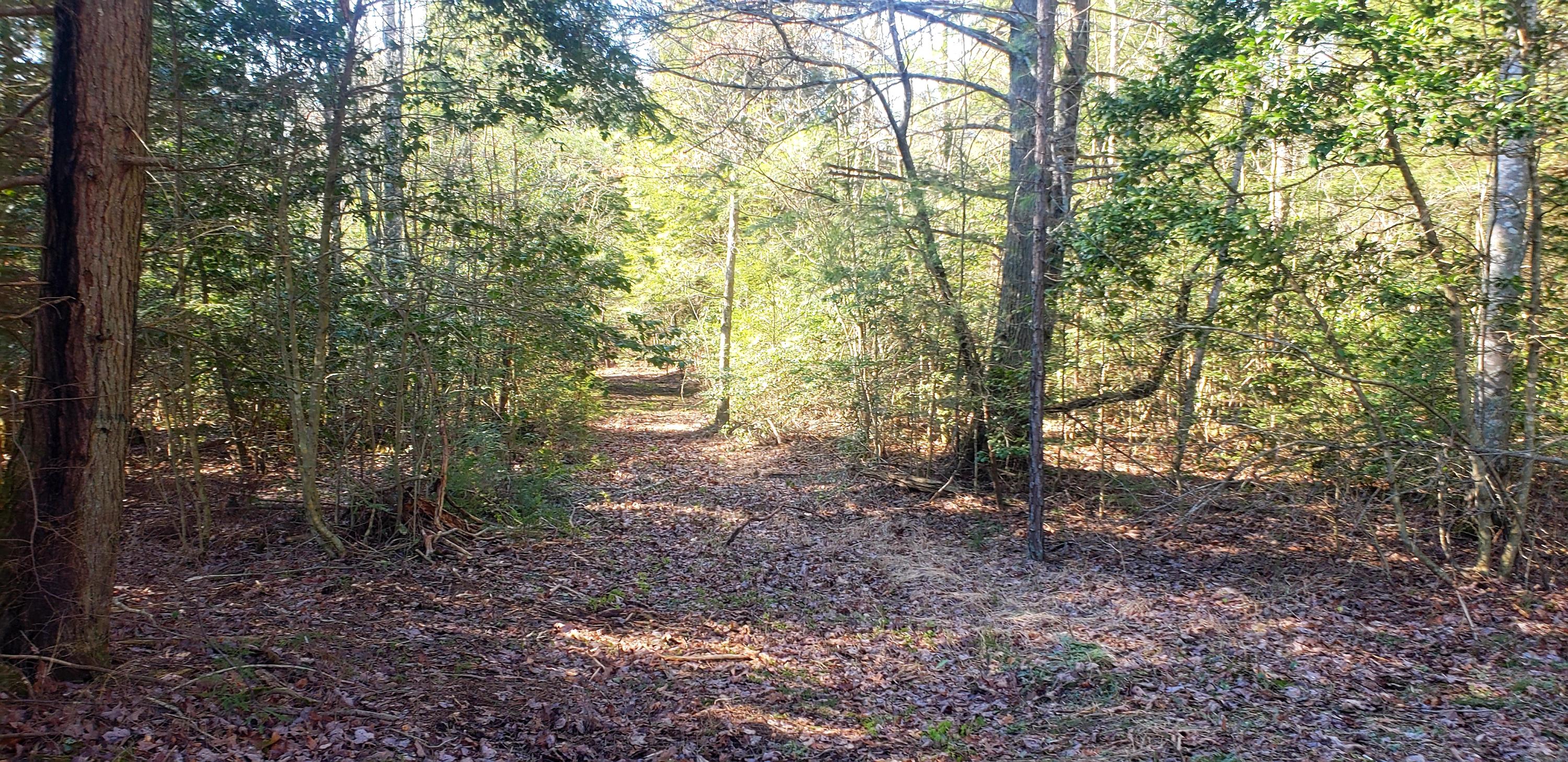 160 Falling Leaf Road Jamestown, TN 38556 - Photo 10 of 11 20200214_174502