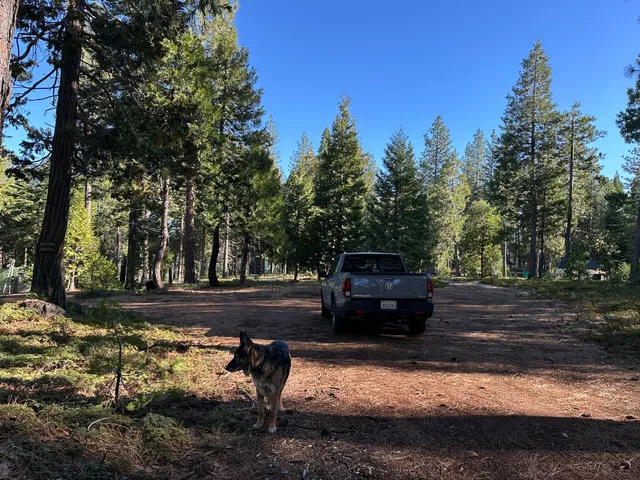 $69,000 | 27782 Holiday Lane, Pioneer, CA 95666