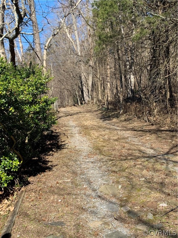 1926 Sterrett Road Raphine, VA 24472 - Photo 32 of 40