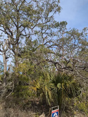 $39,850 | 0 East Royal Oak Drive, Perry, FL 32348