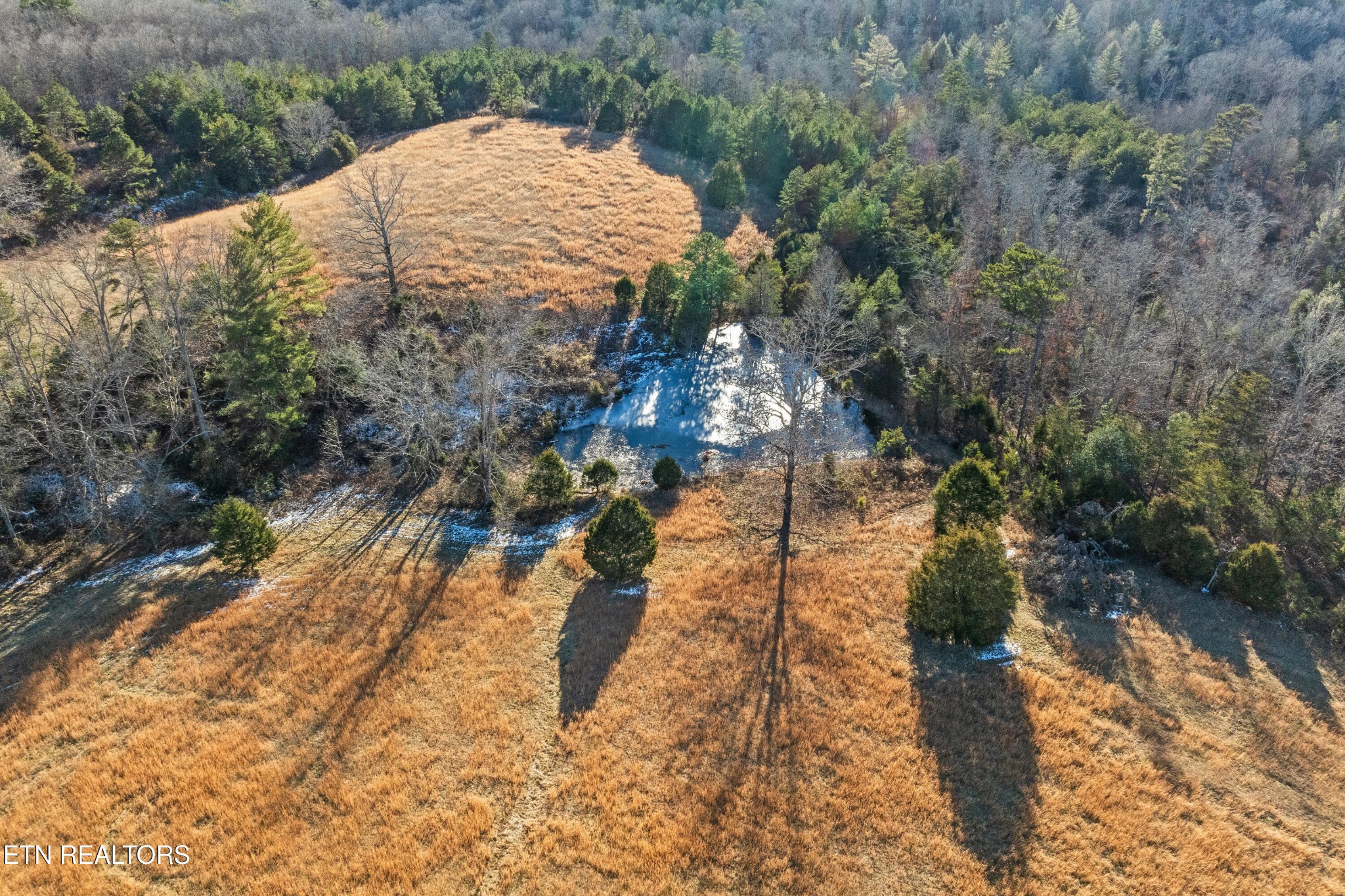 0 High Point Road Deer Lodge, TN 37726 - Photo 1 of 33 a view of a yard
