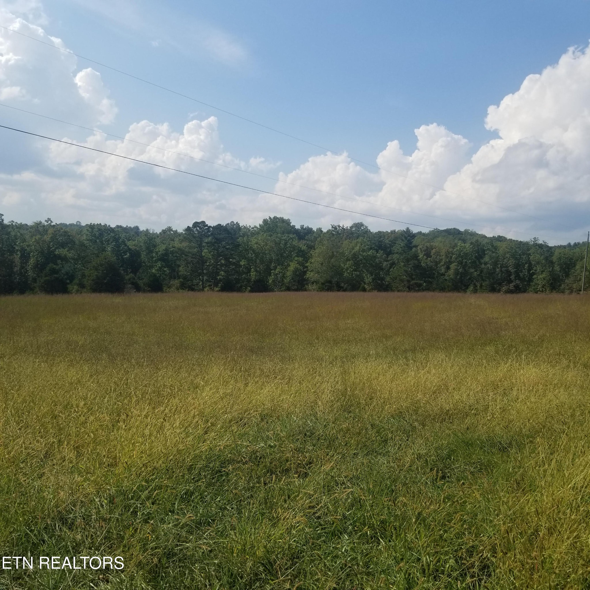 0 High Point Road Deer Lodge, TN 37726 - Photo 33 of 33 a view of a lake from a yard