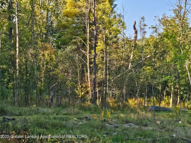 $89,900 | 4784-4788 Beech Drive, Lakeview, MI 48850