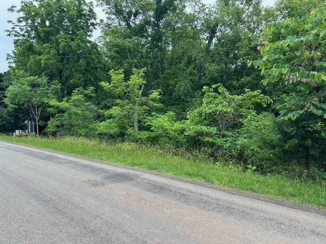 Lot 3 Hales Ford Road Moneta, VA 24121 - Photo 2 of 3 IMG957844