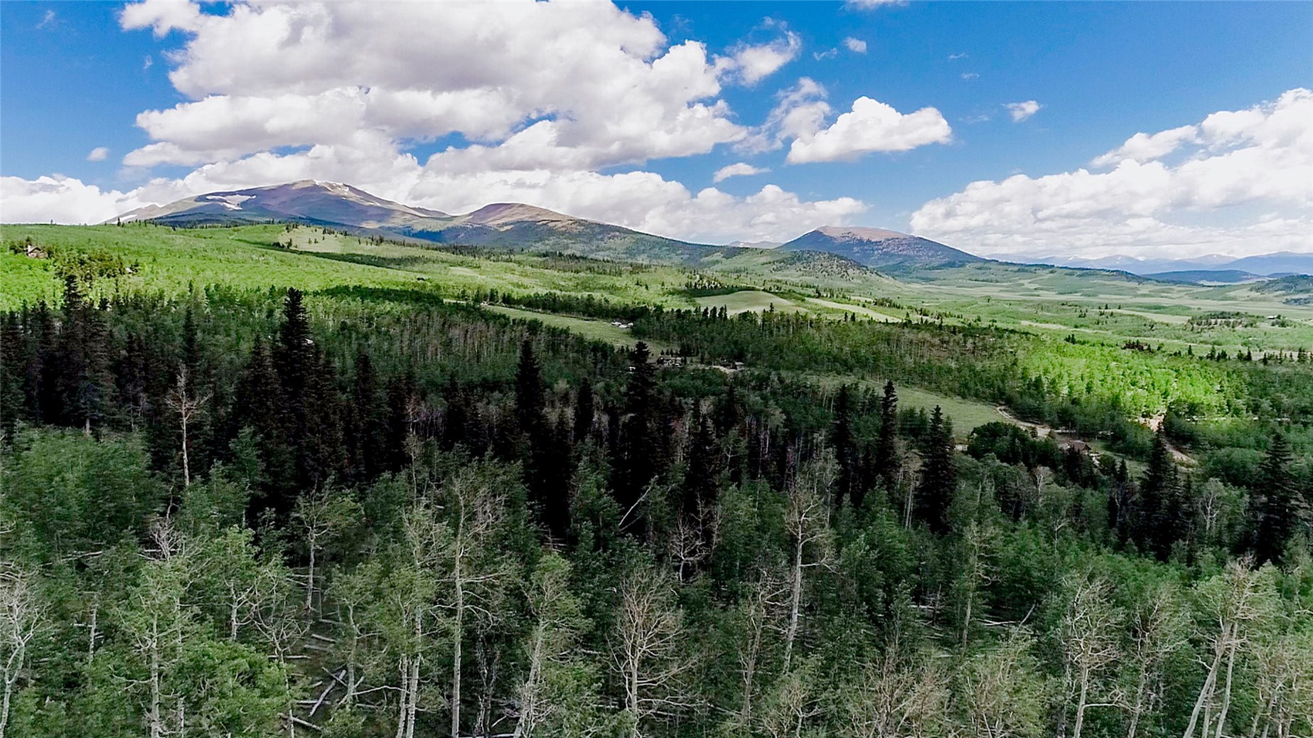 1047 Lumberjack Road Fairplay, CO 80440 - Photo 3 of 27 a view of a city with lush green forest