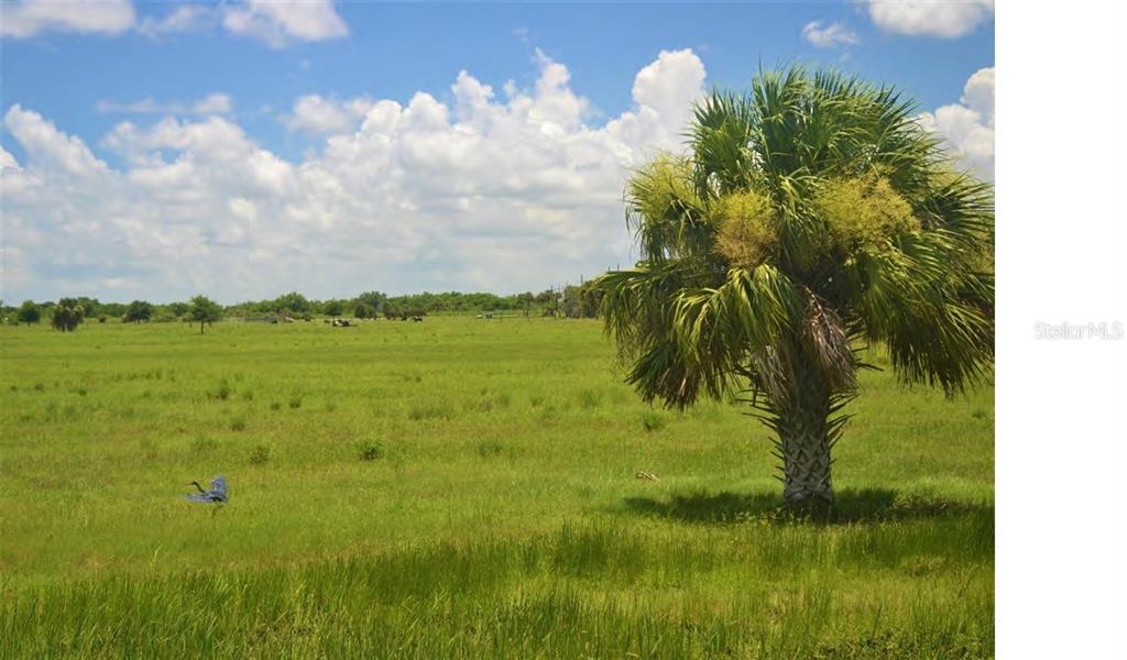 Schumann Road Fort Pierce, FL 34945 - Photo 3 of 5