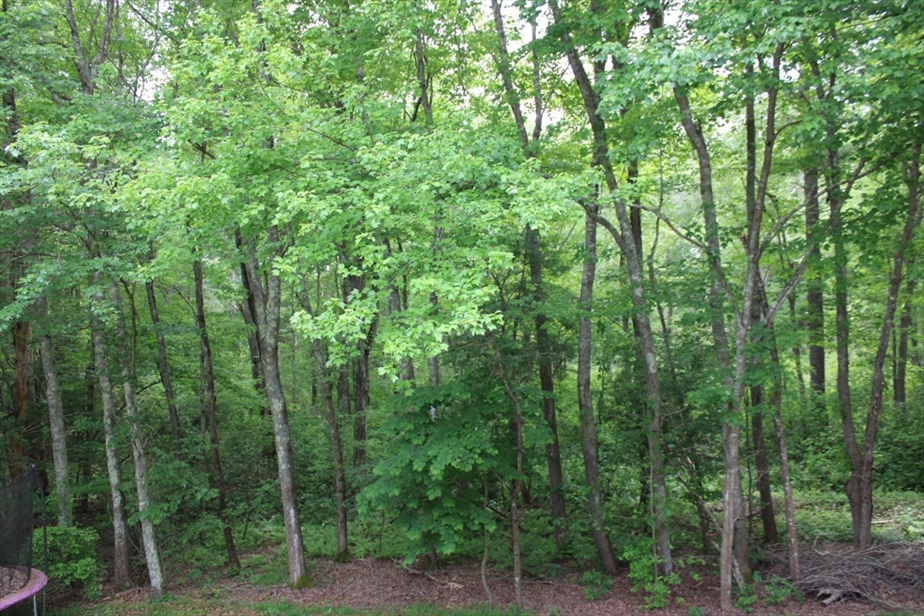 27 Gretchen Way Raynham, MA 02767 - Photo 17 of 20 a view of a forest with trees in the background