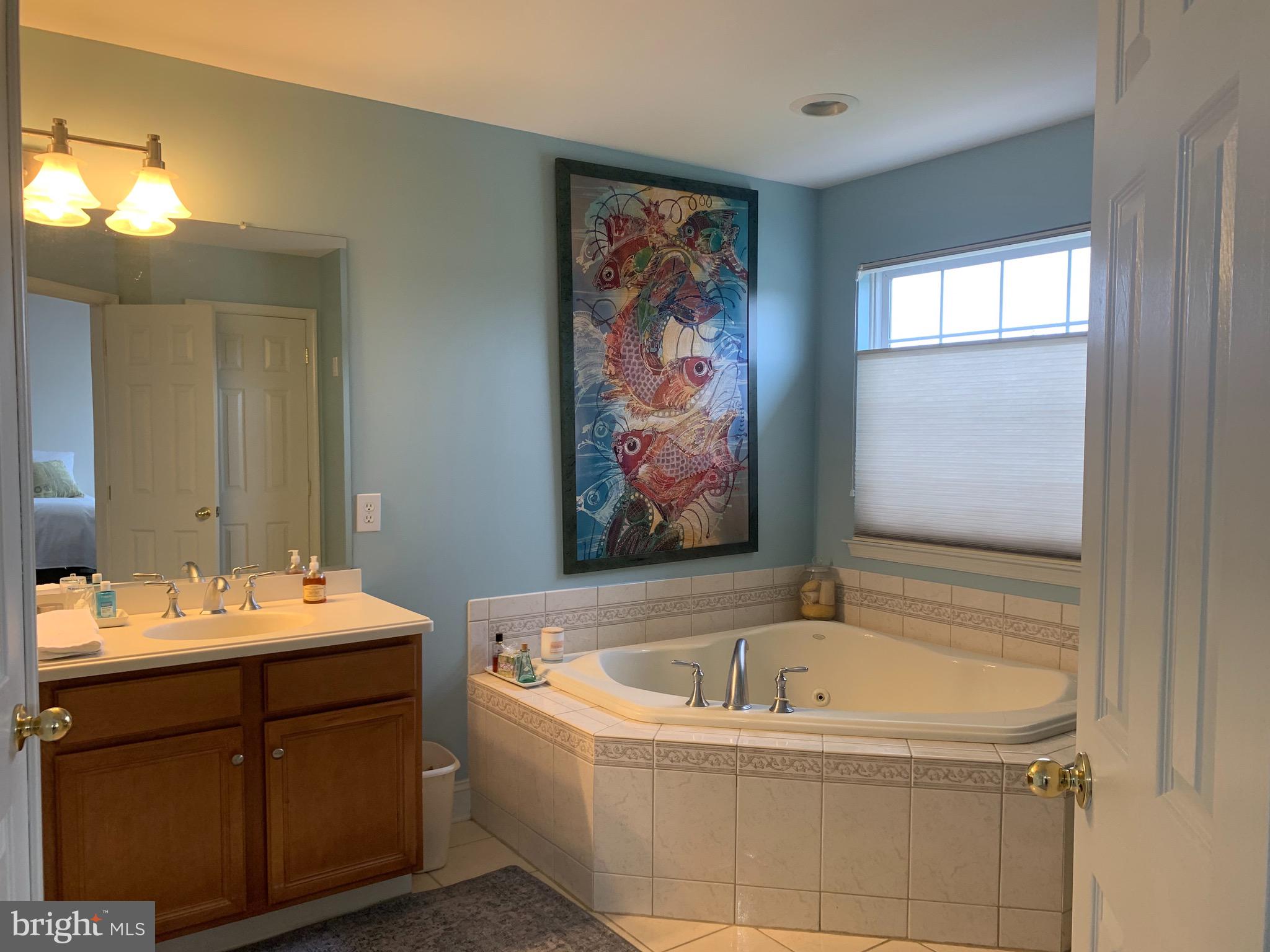 2 Zion Drive Berlin, NJ 08009 - Photo 21 of 37 a bathroom with a tub a sink and mirror