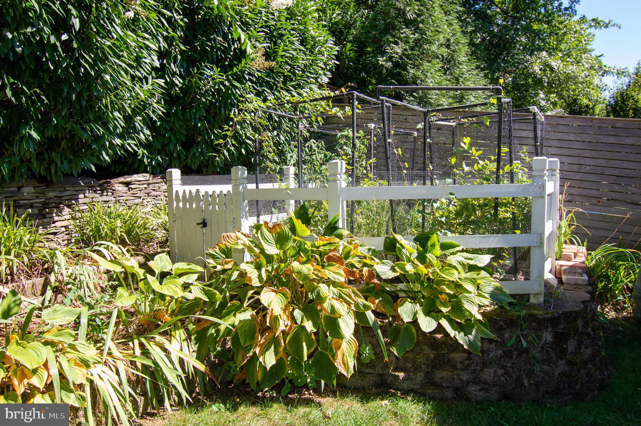 2407 North Rockingham Street Arlington, VA 22207 - Photo 16 of 83 Rear Exterior