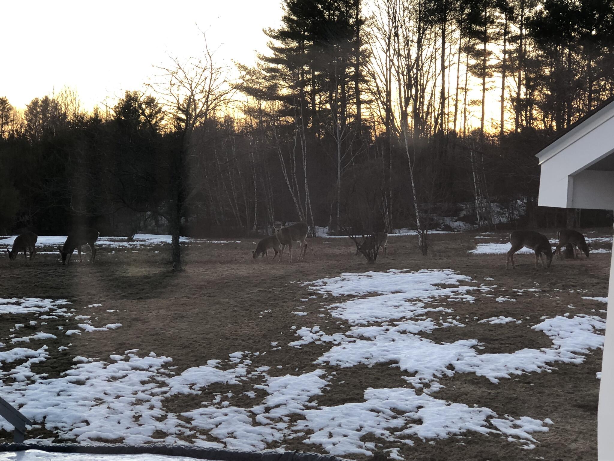 16 Bryant Road Wilton, ME 04294 - Photo 62 of 66 image4