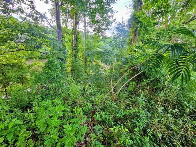 197 Pritchard Road Jonesville, LA 71343 - Photo 3 of 6
