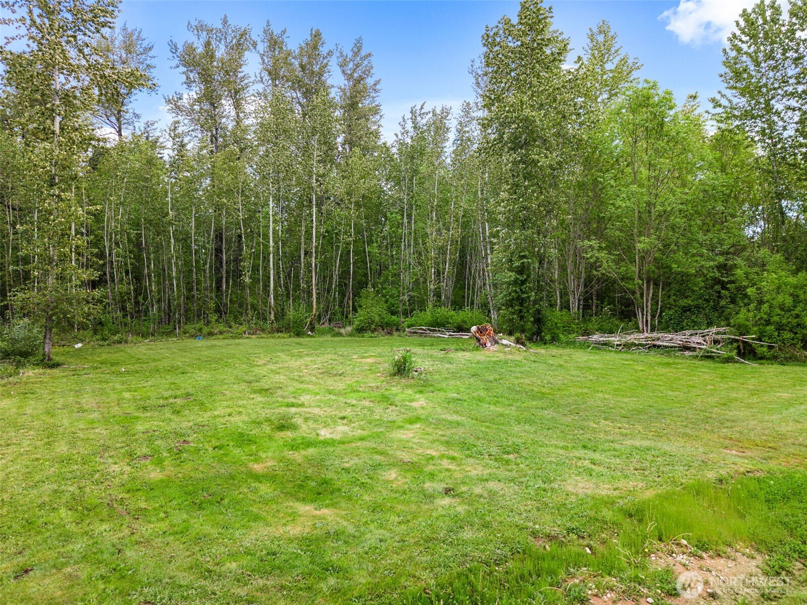 13015 288th Street East Graham, WA 98338 - Photo 28 of 39