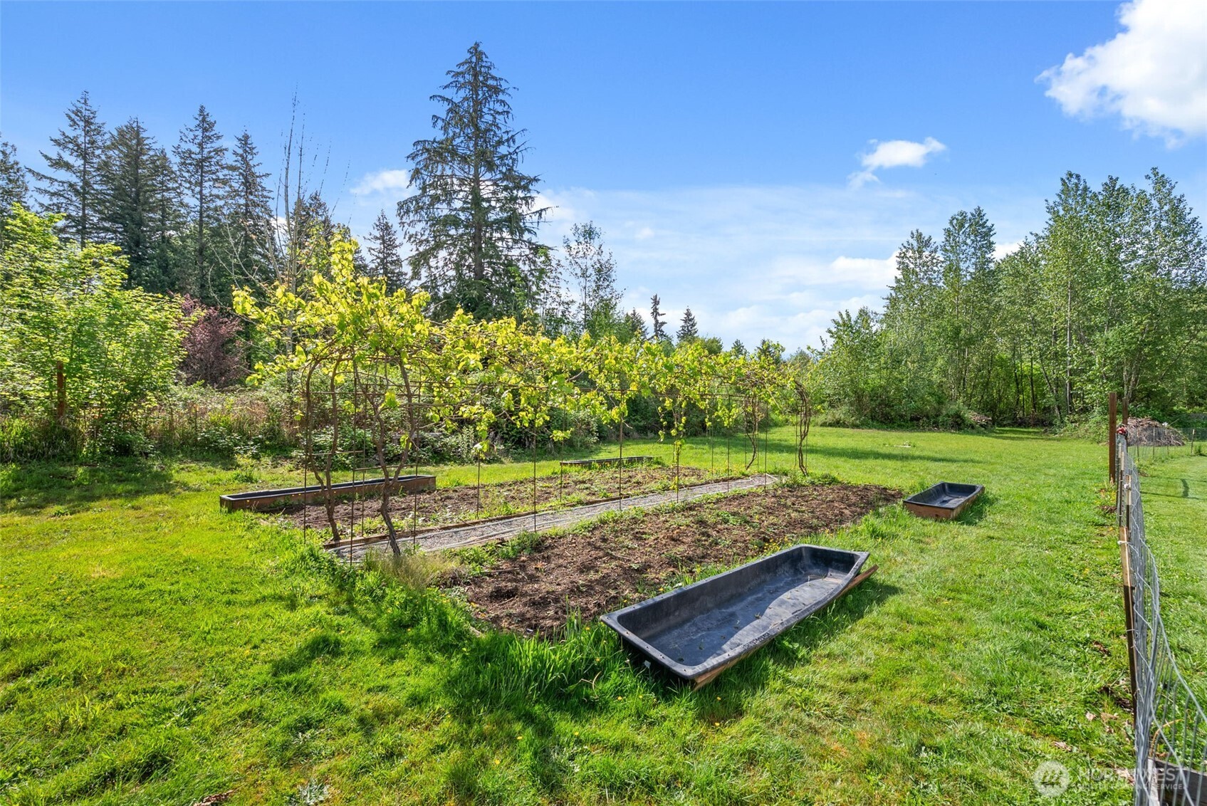 13015 288th Street East Graham, WA 98338 - Photo 35 of 39