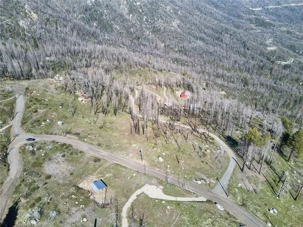 a view of a dry yard