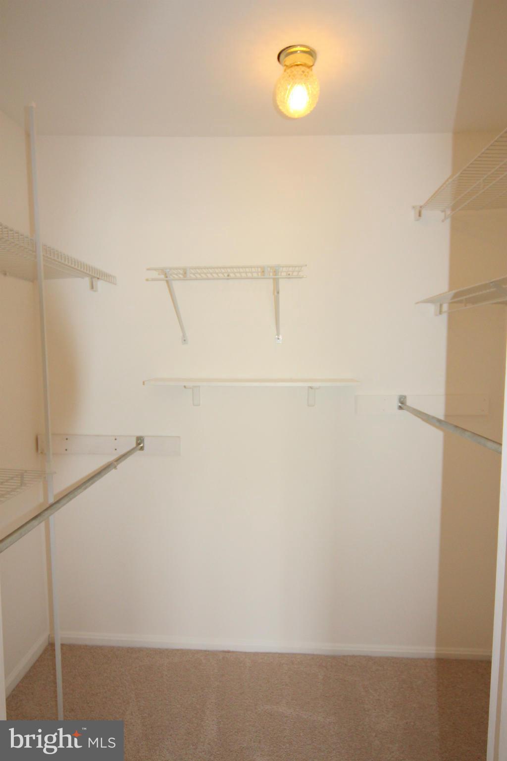 5904 D Kingsford Road, Unit 417 Springfield, VA 22152 - Photo 8 of 23 Walk-in MBR Closet