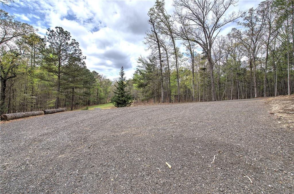 100 Buckwood Farms Path Dallas, GA 30132 - Photo 48 of 70 a view of a forest with trees in the background