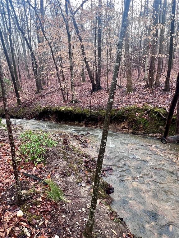 100 Buckwood Farms Path Dallas, GA 30132 - Photo 68 of 70 a view of a backyard