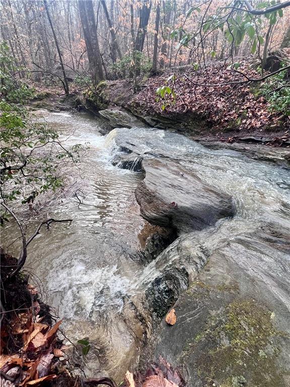 100 Buckwood Farms Path Dallas, GA 30132 - Photo 70 of 70 a view of a backyard of the house