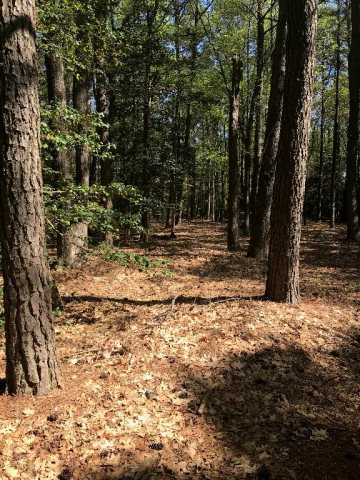 0 Old Neck Road, Unit 8 Exmore, VA 23350 - Photo 16 of 17
