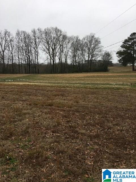 9523 Tingle Cutoff Road, Unit 1 Dora, AL 35062 - Photo 3 of 3