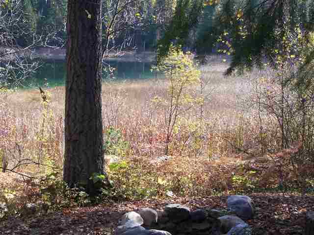 842 Lime Lake Road Metaline Falls, WA 99153 - Photo 9 of 9 Gallery Image 9