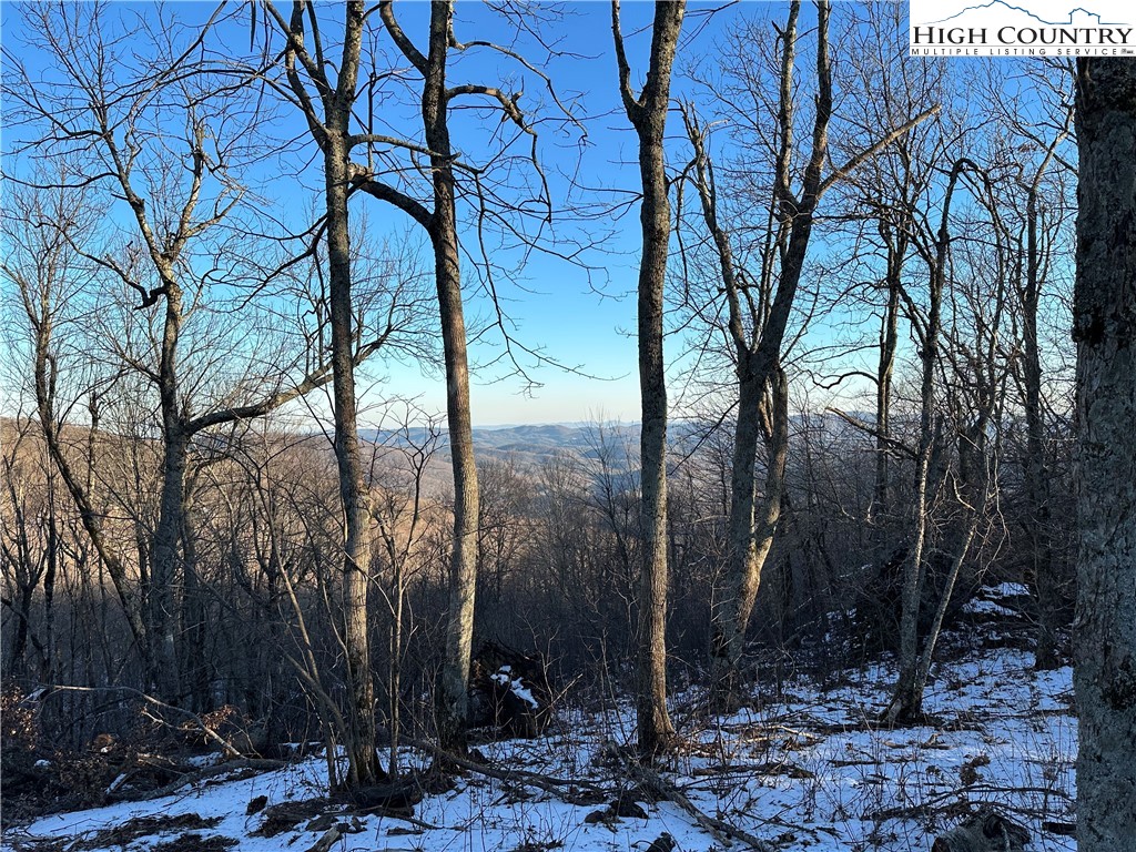 Crown Point Road West Jefferson, NC 28694 - Photo 2 of 4