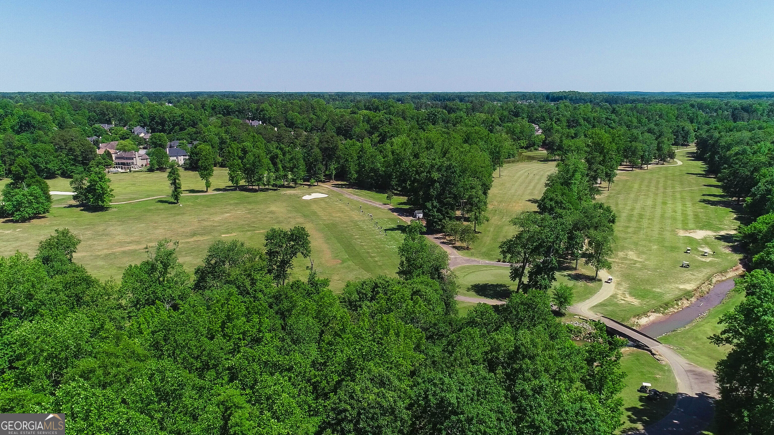 38 The Promenade Newnan, GA 30265 - Photo 22 of 22 a view of a green yard with large trees