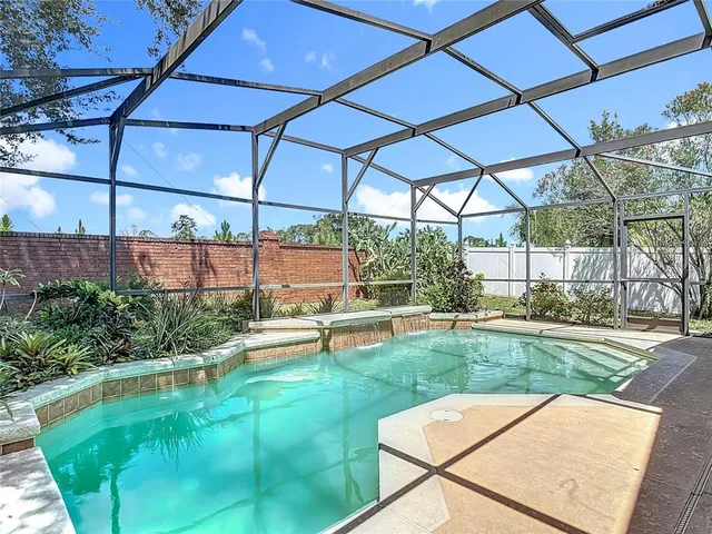 a view of a backyard with plants and large trees