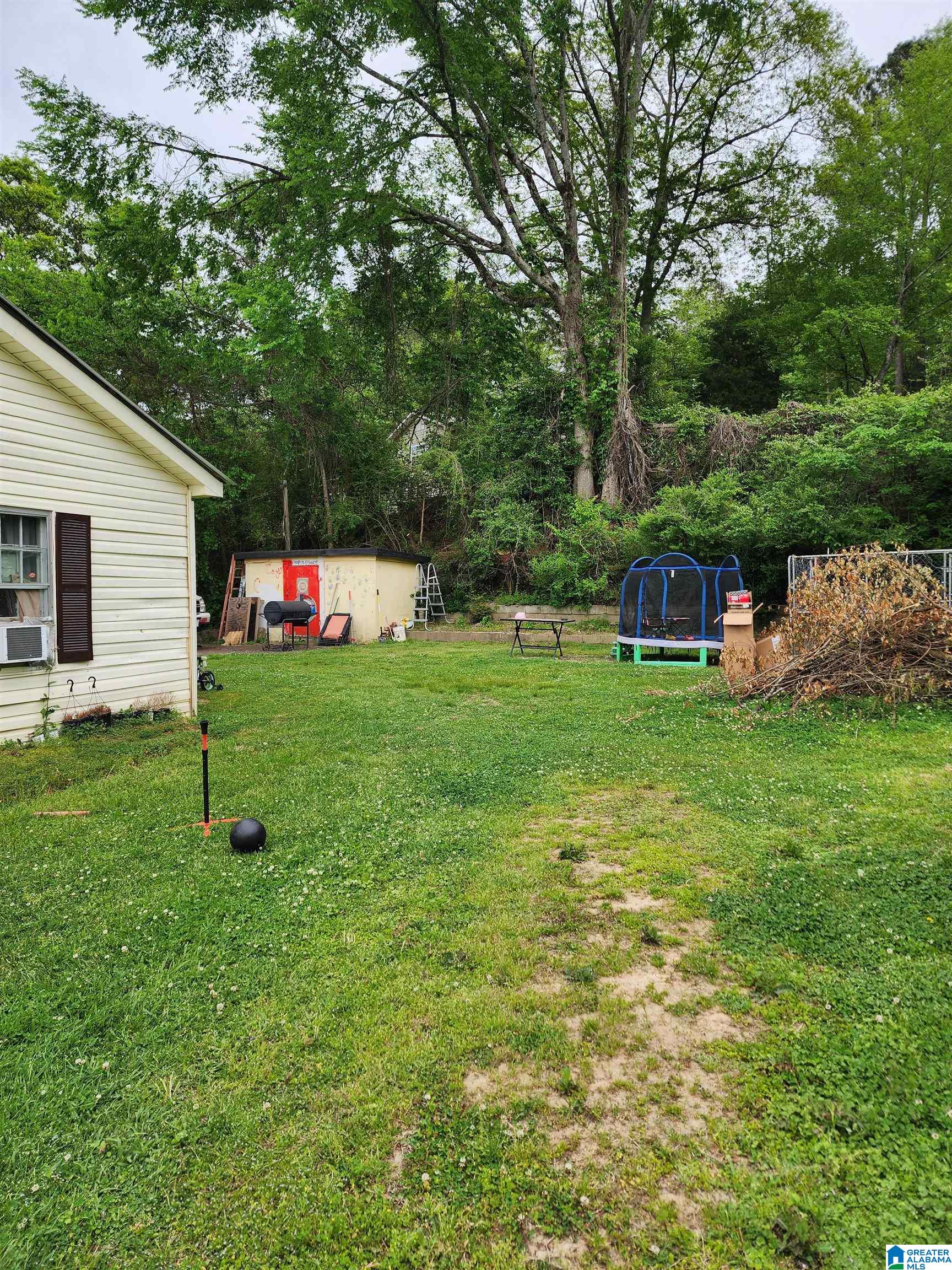 4660 Old Highway 75 Oneonta, AL 35121 - Photo 28 of 29